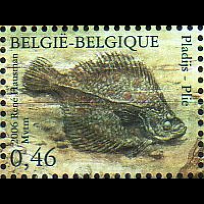 Belgien Mi.Nr. 3585 Natur, Fische der Nordsee, Scholle (0,46)
