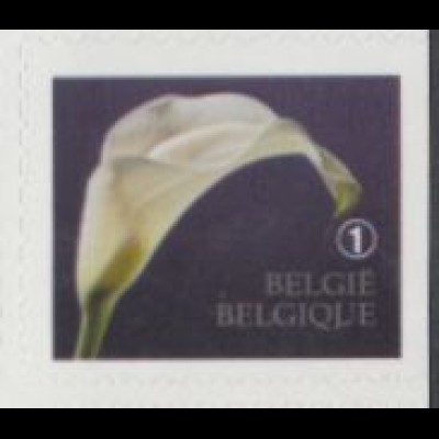 Belgien Mi.Nr. 4414Dr Freim. für Traueranzeigen, Calla, skl (1)