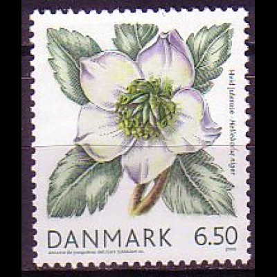 Dänemark Mi.Nr. 1512 Weihnachten, Weiße Christrose (6,50)