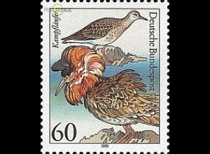 D,Bund Mi.Nr. 1539 Bedrohte Seevögel, Kampfläufer (60)
