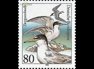 D,Bund Mi.Nr. 1540 Bedrohte Seevögel, Zwergseeschwalbe (80)