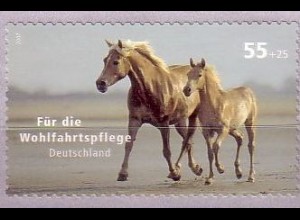 D,Bund Mi.Nr. 2635 Wohlfahrt 2007, Pferde, selbstklebend (55+25)