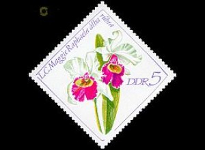 D,DDR Mi.Nr. 1420 Orchideen, Laelio-Cattleya Maggie Raphaela alba rubra (5)