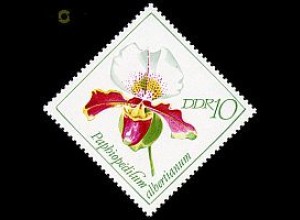 D,DDR Mi.Nr. 1421 Orchideen, Paphiopedilum albertianum (10)