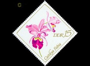 D,DDR Mi.Nr. 1422 Orchideen, Cattleya fabia (15)