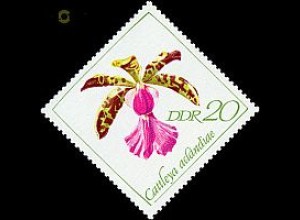 D,DDR Mi.Nr. 1423 Orchideen, Cattleya aclandiaè (20)