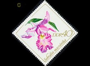 D,DDR Mi.Nr. 1424 Orchideen, Sobralia macrantha (40)
