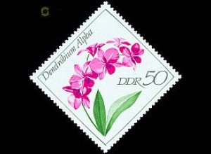 D,DDR Mi.Nr. 1425 Orchideen, Dendrobium alpha (50)