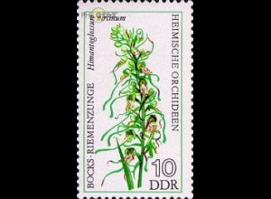 D,DDR Mi.Nr. 2135 Heimische Orchideen, Bocks-Riemenzunge (10)