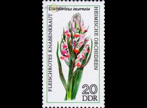 D,DDR Mi.Nr. 2136 Heimische Orchideen, Knabenkraut (20)