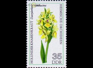 D,DDR Mi.Nr. 2138 Heimische Orchideen, Holunderknabenkraut (35)