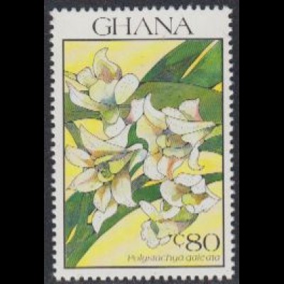 Ghana Mi.Nr. 1442 Orchideen, Polystachya galeata (80)
