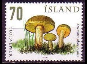 Island Mi.Nr. 1144 Pilze, Ziegenlippe (65)
