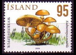 Island Mi.Nr. 1145 Pilze, Stockschwämmchen (110)