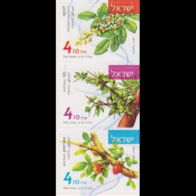 Israel MiNr. 2581-83 Aromapflanzen, skl (Dreierstreifen)