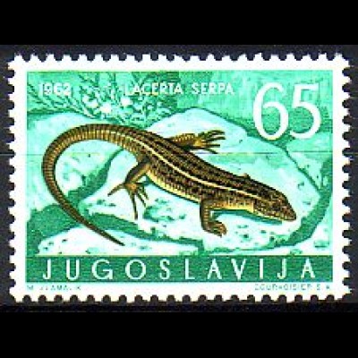 Jugoslawien Mi.Nr. 1012 Jugoslawische Fauna, Ruineneidechse (65)
