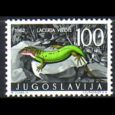 Jugoslawien Mi.Nr. 1013 Jugoslawische Fauna, Smaragdeidechse (100)