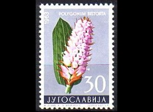 Jugoslawien Mi.Nr. 1036 Jugoslawische Flora, Wiesenknöterich (30)
