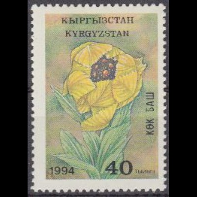 Kirgisien Mi.Nr. 35A Einheimische Flora, Himmelskopf, gez. (40)
