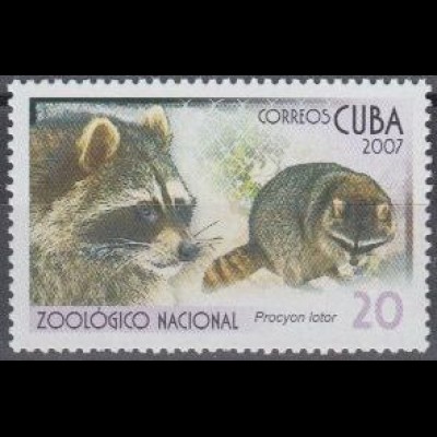 Kuba Mi.Nr. 4909 Zoo Havanna, Waschbär (20)