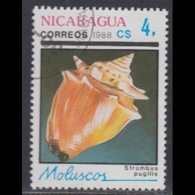 Nicaragua Mi.Nr. 2887 Muscheln und Schnecken, Fechterschnecke (4)