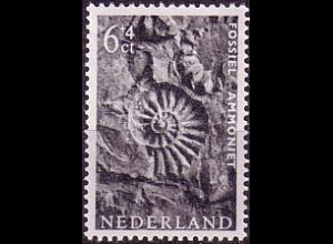 Niederlande Mi.Nr. 775 Versteinerter Ammonit (6+4C)