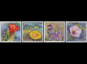 Rumänien Mi.Nr. 6777-80 Blütenpflanzen der Halbwüste (4 Werte)