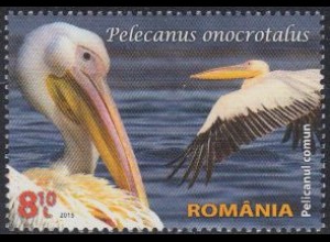 Rumänien Mi.Nr. 6947 Fauna in Naturschutzgebieten, Krauskopfpelikan (8,10)