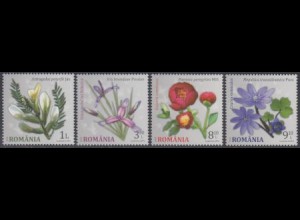 Rumänien Mi.Nr. 6964-67 Blumen aus botanischen Gärten (4 Werte)