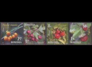 Rumänien MiNr. 7276-79 Wildfrüchte, Sanddorn, Weißdorn, Erdbeere ua. (4 Werte)