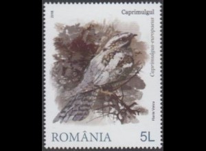 Rumänien MiNr. 7454 Tarntracht der Vögel, Ziegenmelker (5)