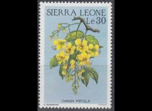 Sierra Leone Mi.Nr. 908 Blüten, Cassia fistula (30)