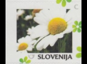 Slowenien Mi.Nr. 1100 Meine Marke, Jahreszeiten, Frühling, Margerite, skl. (C)