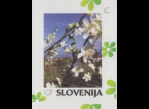 Slowenien Mi.Nr. 1104 Meine Marke, Jahreszeiten, Frühling, Baumblüte, skl. (C)