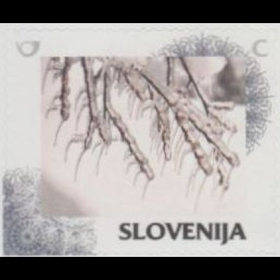 Slowenien Mi.Nr. 1124 Meine Marke, Jahreszeiten, Winter, Zweige, skl. (C)