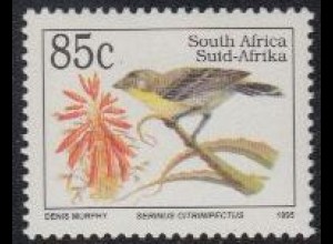 Südafrika Mi.Nr. 974 Freim. Bedrohte Tiere, Gelbbrustgirlitz (85)