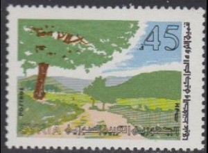 Syrien Mi.Nr. 1612 Waldschutz, Waldlandschaft (45)
