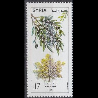 Syrien Mi.Nr. 1961 Tag des Baumes, Ölbaum (17)