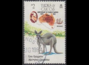 Turks- u.Caicos-Inseln Mi.Nr. 711 175.Geb.Charles Darwin, Känguruh (2)