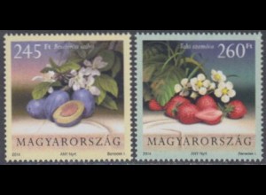 Ungarn Mi.Nr. 5719-20 Obst, Pflaumen und Erdbeeren (2 Werte)