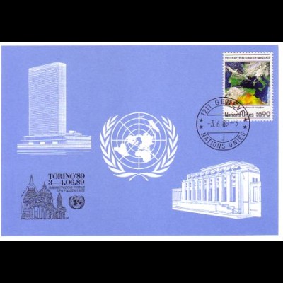 UNO Genf Blaue Karte Mi.Nr. 193 Turin (3.-4.6.89)