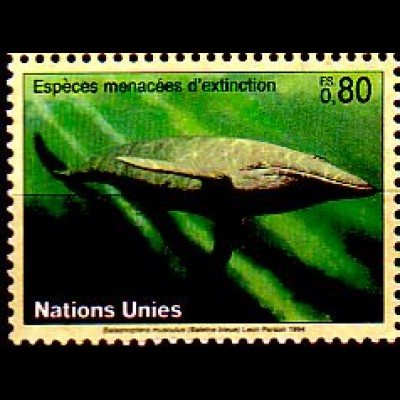 UNO Genf Mi.Nr. 247 Gefährdete Arten, Wal (0,80)