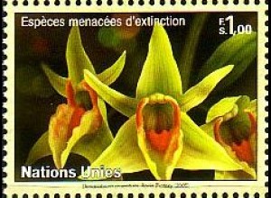 UNO Genf Mi.Nr. 512 Gefährdete Arten, Orchidee Dendrobium cruentum (1,00)