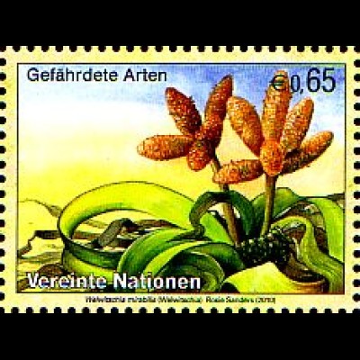 UNO Wien Mi.Nr. 641 Gefährdete Arten, Weltwitschie (0,65)
