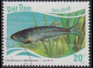 Vietnam Mi.Nr. 1899 Fische, Brachydanio albolineatus (20)