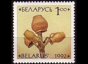 Weißrußland Mi.Nr. 20 Keramikgefäße Gefäße beim Lufttrocknen (1,00)