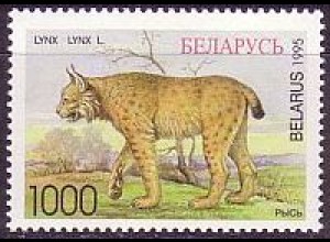 Weißrußland Mi.Nr. 114 Gefährdete Tierarten Luchs (1000)