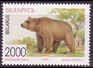 Weißrußland Mi.Nr. 116 Gefährdete Tierarten Braunbär (2000)