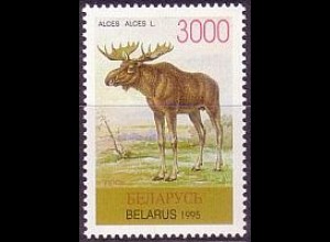 Weißrußland Mi.Nr. 117 Gefährdete Tierarten Elch (3000)