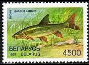 Weißrußland Mi.Nr. 219 Fische Flußbarbe (4500)